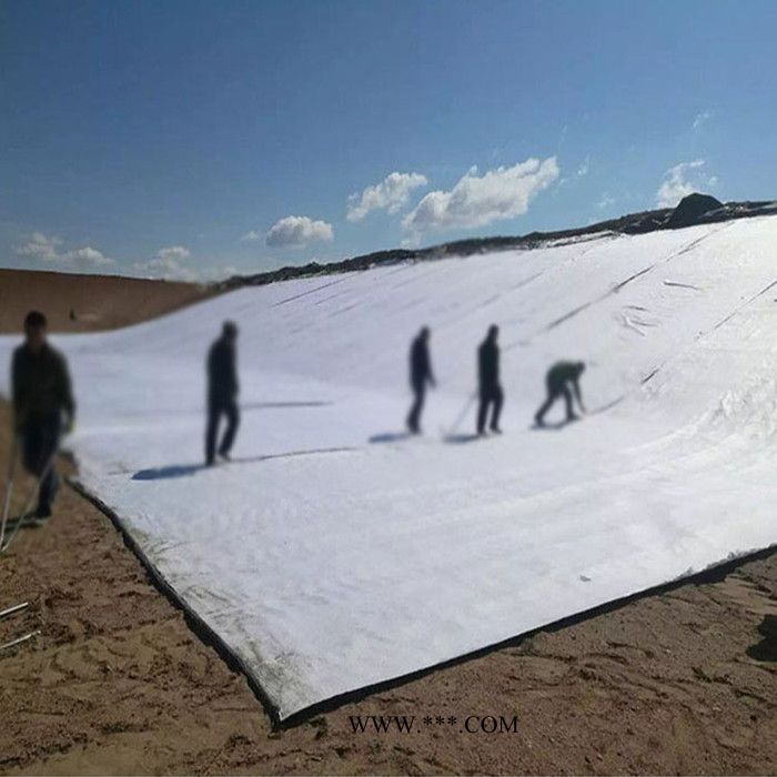华翔 防水毯 膨润土防水毯 防水毯厂家图3