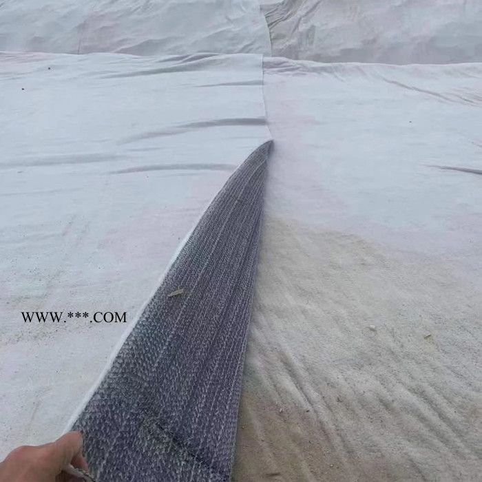 厂家定制生产人工湖河道防渗用膨润土防水毯 垃圾镇埋场防渗 复合防水毯图2