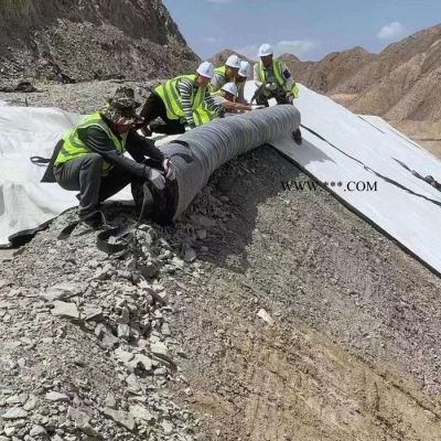 厂家定制生产人工湖河道防渗用膨润土防水毯 垃圾镇埋场防渗 复合防水毯