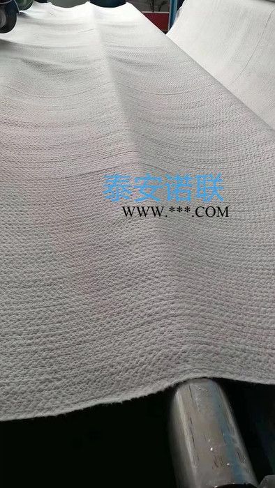 泰安诺联4kg-8kg 膨润土防水毯 垃圾填埋场专用 膨润土防水毯天然环保 针刺法防水毯图3