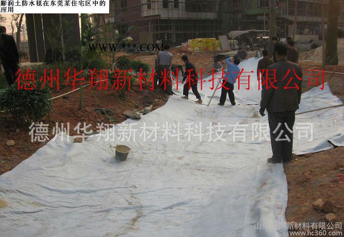 直销 强力膨润土防水毯 加工膨润土防水毯5000g图1