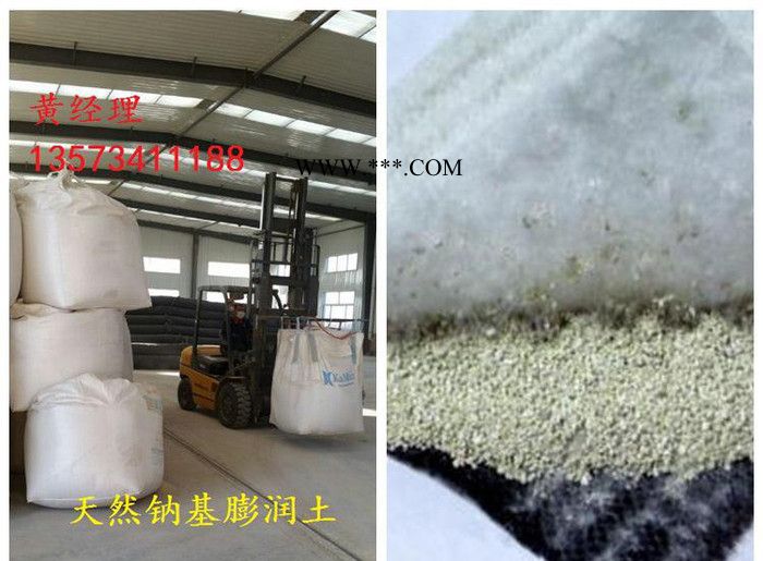 天然膨润土防水毯 高膨胀性钠基膨润土防水毯 人工湖膨润土防水图1