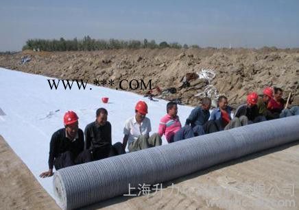 钠基膨润土防水毯 蓄水池防渗图2