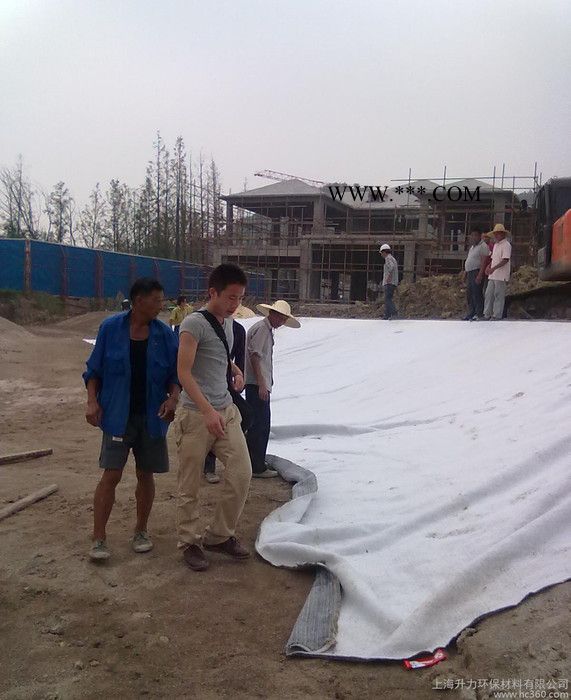 GCL防水毯 钠基膨润土防水毯 膨润土垫 GCL膨润土防水毯图2