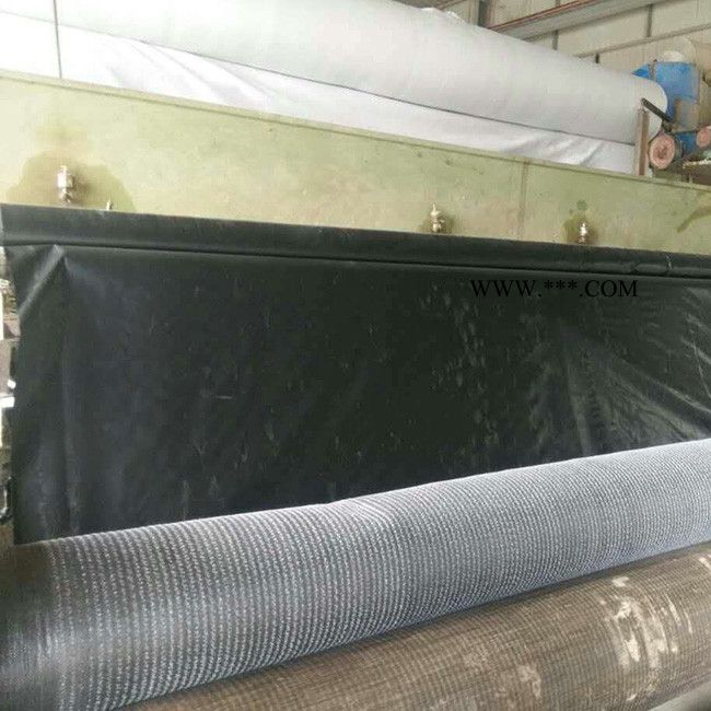 订货销售价格低膨润土防水毯 支持加工定制规格齐全膨润土防水毯