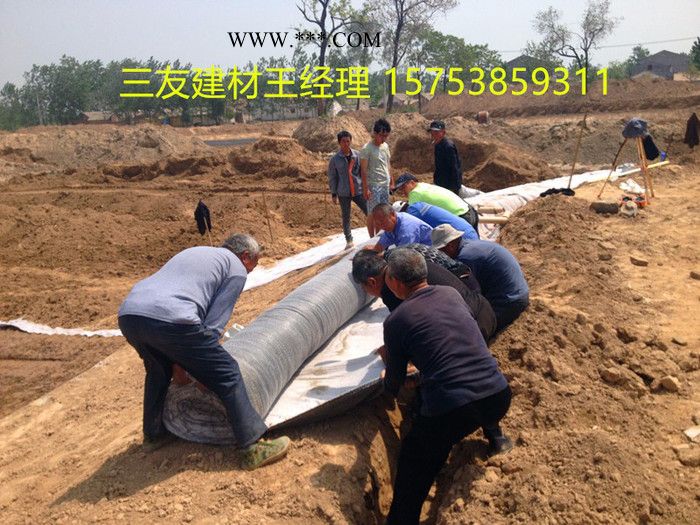 当天发货三友5kg膨润土防水毯图2