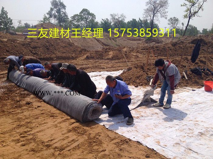 当天发货三友5kg膨润土防水毯图1