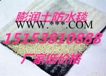 供应巢湖膨润土防水毯图2