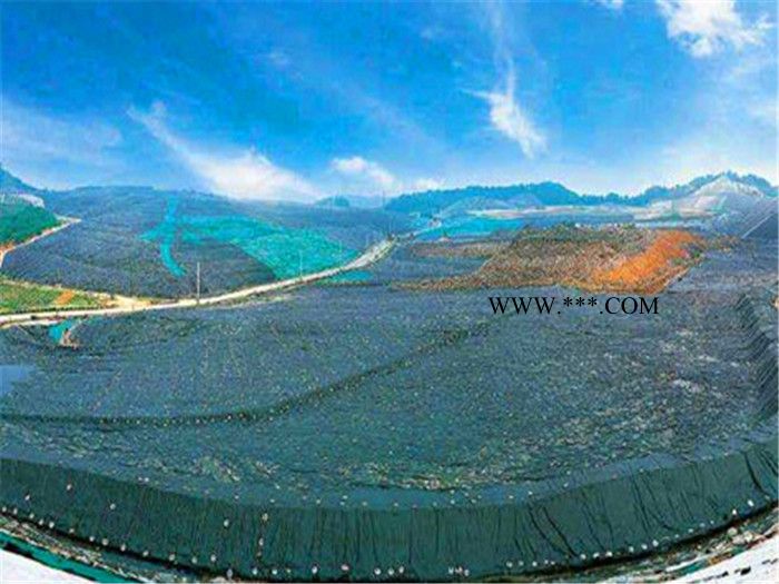 膨润土防水毯  防水毯图5