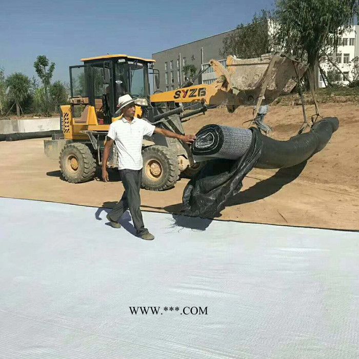 鑫宇防水毯 膨润土防水毯 GCL膨润土防水毯厂家定制 GCL覆膜膨润土防水毯