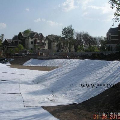 蓄水池防渗 膨润土垫