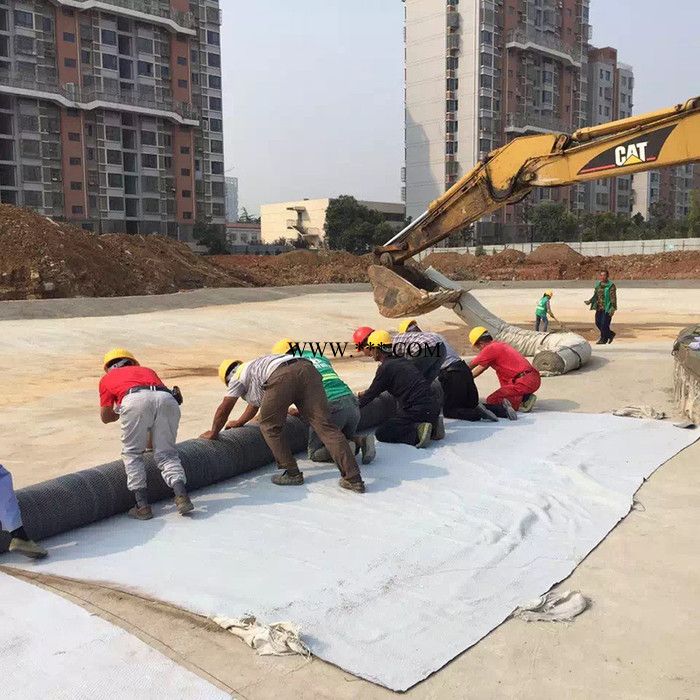天然钠基膨润土防水毯图5