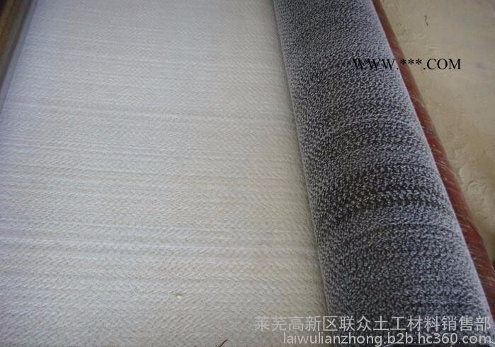 联众厂家生产防水毯，针刺法钠基膨润土防水毯、针刺覆膜法钠基膨润土防水毯，胶粘法钠基膨润土防水毯图2