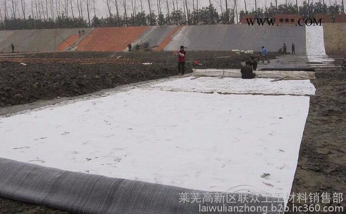 联众厂家生产防水毯，针刺法钠基膨润土防水毯、针刺覆膜法钠基膨润土防水毯，胶粘法钠基膨润土防水毯图1