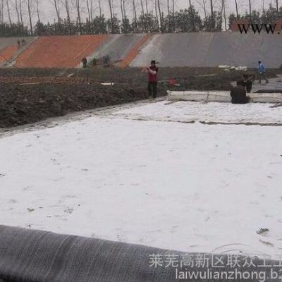 联众厂家生产防水毯，针刺法钠基膨润土防水毯、针刺覆膜法钠基膨润土防水毯，胶粘法钠基膨润土防水毯