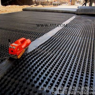凡奥LQ-10 排水板  三维排水网  膨润土防水毯