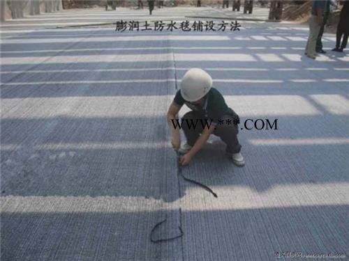 膨润土防水毯价格_中瑞土工材料(图)_膨润土防水毯的用途