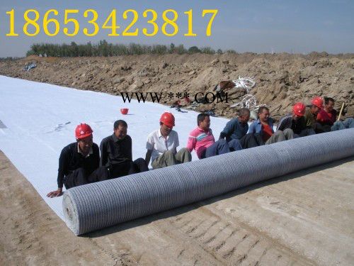 5000克膨润土防水毯价格图3