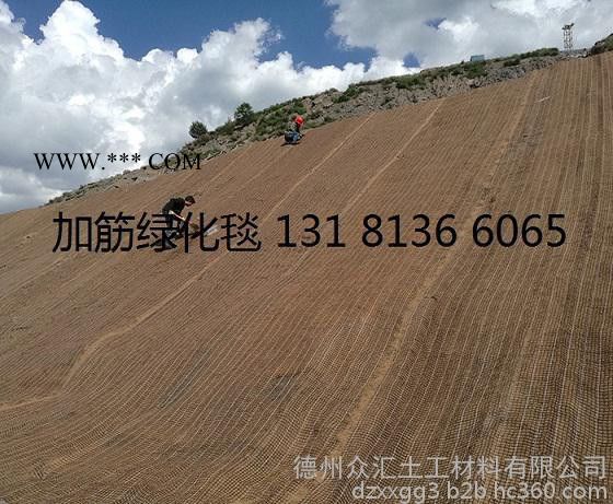 众汇植被毯 环保草毯 椰丝毯边坡修复 抗冲生物毯 生态毯 稻草毯 膨润土防水毯图2