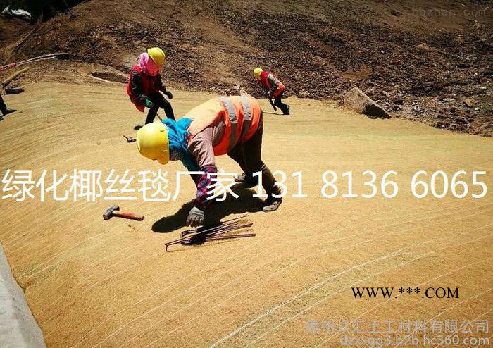 众汇植被毯 环保草毯 椰丝毯边坡修复 抗冲生物毯 生态毯 稻草毯 膨润土防水毯图4