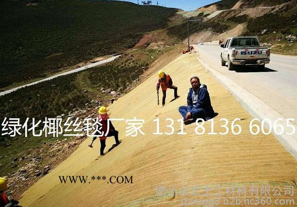 众汇植被毯 环保草毯 椰丝毯边坡修复 抗冲生物毯 生态毯 稻草毯 膨润土防水毯图3