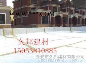 膨润土防水毯厂家，覆膜膨润土防水毯，膨润土防水毯供应商，钠基膨润土防水毯厂家图3