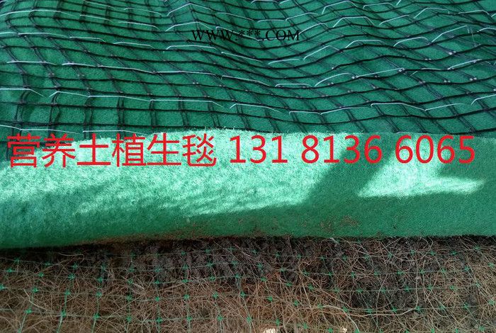 众汇环保草毯 椰丝毯 膨润土防水毯 抗冲生物毯 麻椰固土毯图4