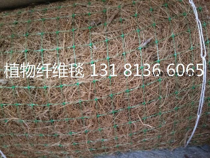 众汇环保草毯 椰丝毯 膨润土防水毯 抗冲生物毯 麻椰固土毯图3