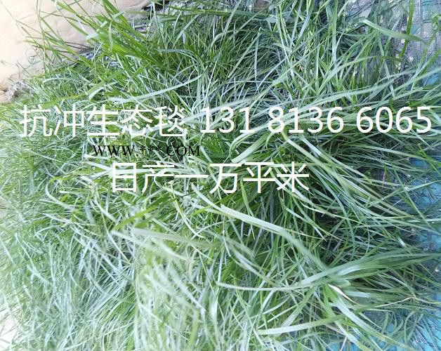 众汇环保草毯 椰丝毯 膨润土防水毯 抗冲生物毯 麻椰固土毯图5