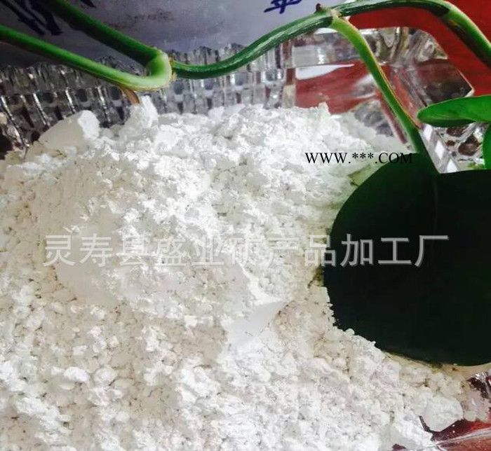 盛业**硅藻土 填充剂 食品级硅藻土 吸附剂硅藻颗粒图3