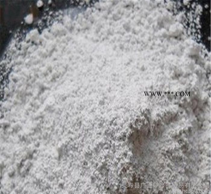 直销**白色硅藻土 硅藻土粉 硅藻泥专用硅藻土图3
