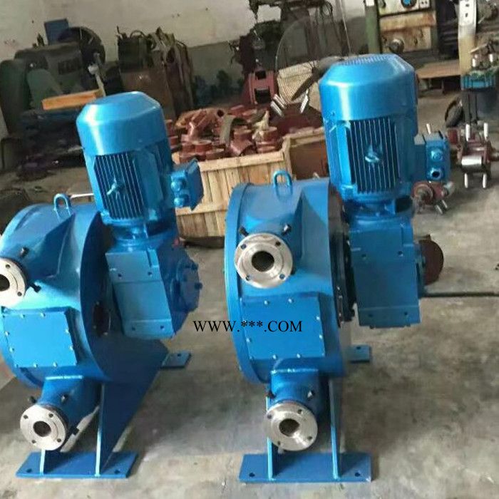 锐驰软管蠕动泵 硅藻土进口软管泵 河南软管泵定制款图5