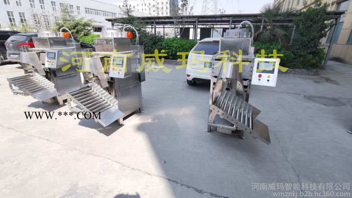 威玛供应 石英砂气动阀口包装机-控制器 重晶石气浮包装机-价格表 焦宝石气吹包装机-原厂售后图4