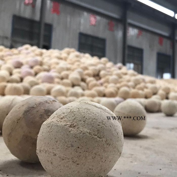 高铝耐火球厂家 热工设备保温刚玉蓄热球 60铝含量 高强耐火球图4