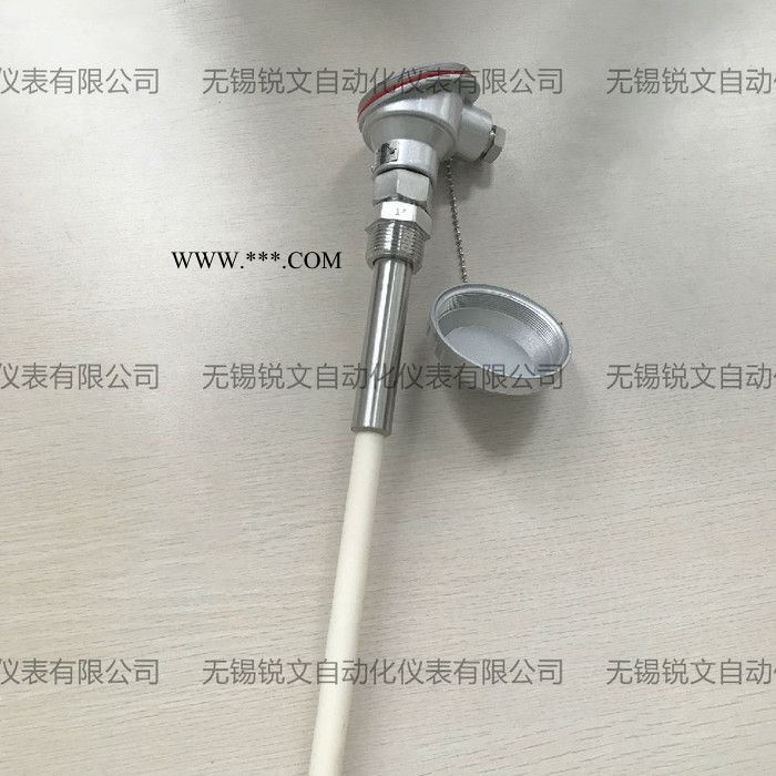 S型铂铑热电偶WRP-121/131/B型/R型/S型-1600度耐高温刚玉管温度传感器 装配式热电偶图3
