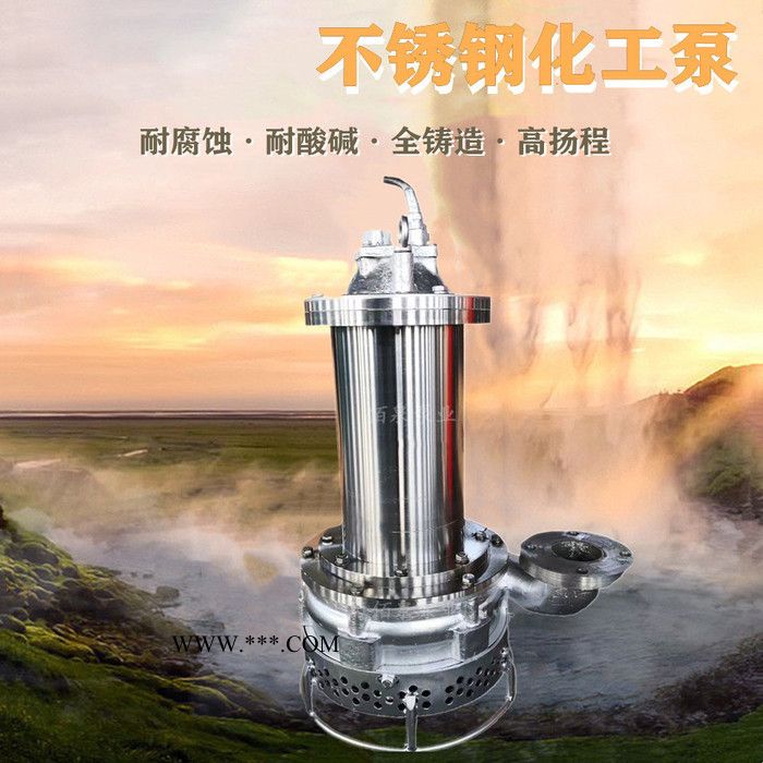 上海佰泉泵业 长期售卖 陶瓷大理石粉浆输送泵不锈钢耐磨渣浆泵图2
