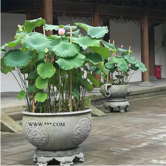 中辉 现货青石大缸 荷花缸 大理石鱼缸 石雕水缸 仿古雕塑庭院养鱼缸图5