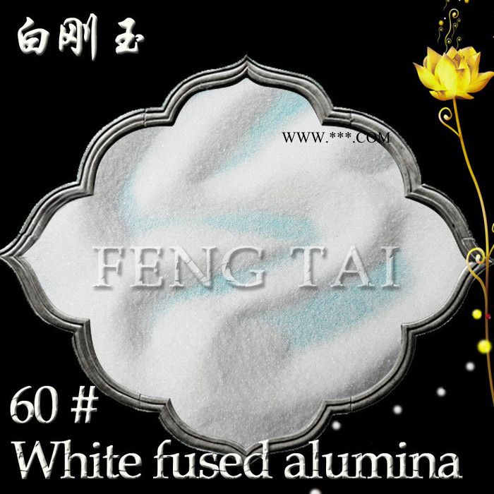 99.5含量一级白刚玉微粉 陶瓷用白刚玉 耐高温白刚玉图2