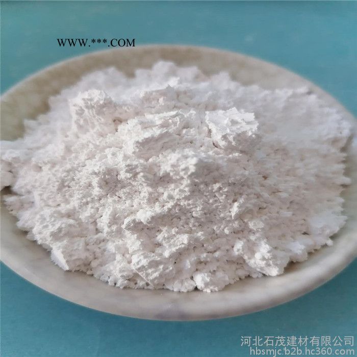 石茂供应碳酸钙1250目 活性轻钙粉 超细超轻碳酸钙 环保腻子粉图4