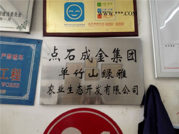 【恒星】创意个性定制金属树脂水晶奖杯奖牌彩色木质榉木大理石奖杯图5