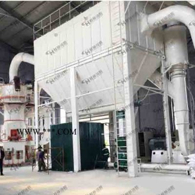 德国立磨 高细立式磨粉机大型粉体生产设备2500目石英碳酸钙立式磨粉机