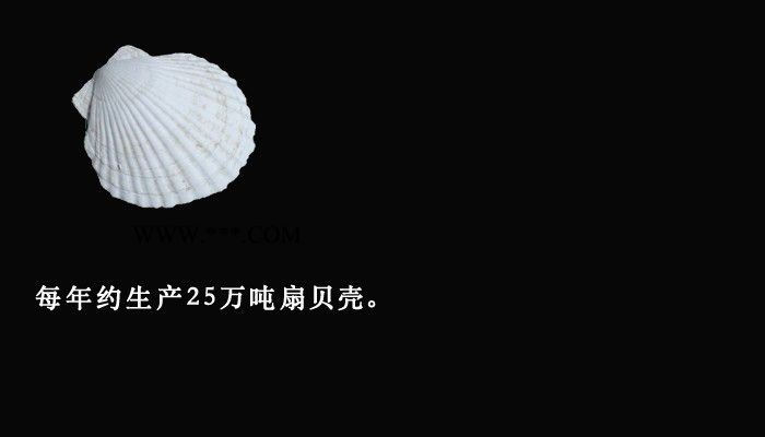 日本北海道（鄂霍茨克深海）扇贝壳粉   -- 氢氧化钙、氧化钙、碳酸钙图5