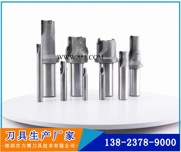 金刚石刀具厂家LEEPPLE直供汽车行业加工刀具聚晶金刚石PCD刀具图2