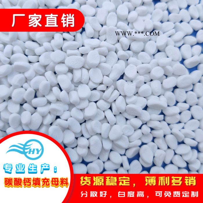 浩洋B10碳酸钙超白填充母料厂方直销批发 PP注塑填充母料图6