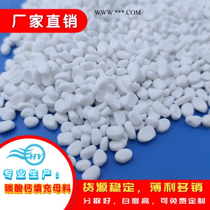 浩洋B10碳酸钙超白填充母料厂方直销批发 PP注塑填充母料图7
