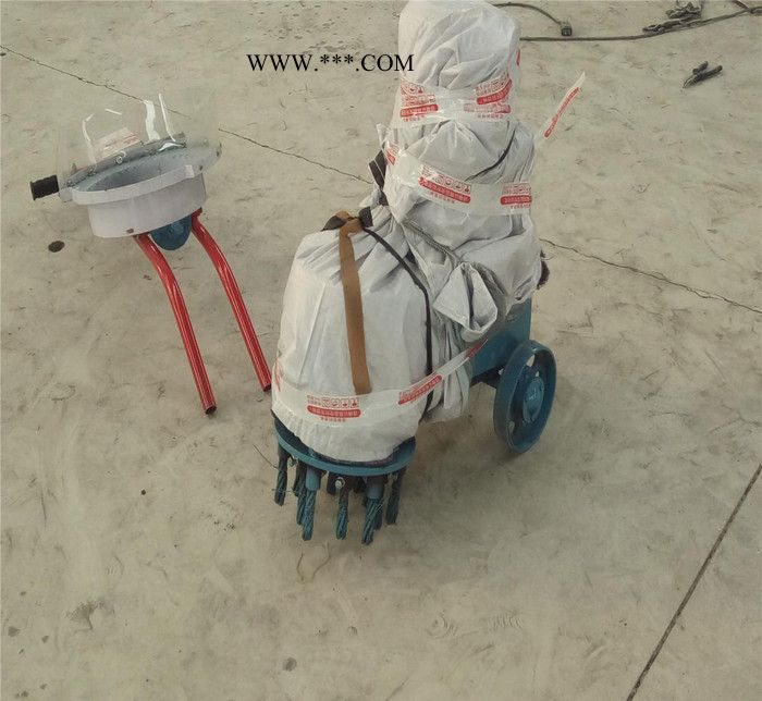直售250-350型金刚石水磨石机 金刚石水磨石机价格图3