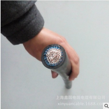 控制电缆各种KVVR、KVVRP22、KVVRP上海电线电缆厂家定制生产直销图3