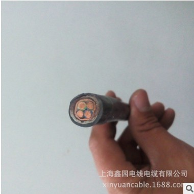 铜带屏蔽铠装控制电缆线KVVP2-22-10*1.5 1上海电缆源头厂家直销图1