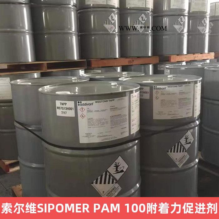 索尔维SIPOMER PAM 100附着力促进剂 冻融机械稳定性丙烯酸应用图3