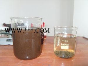 瑞林牌am-1莆田脱色剂价格+福田脱色剂厂家印染厂污水专用图6